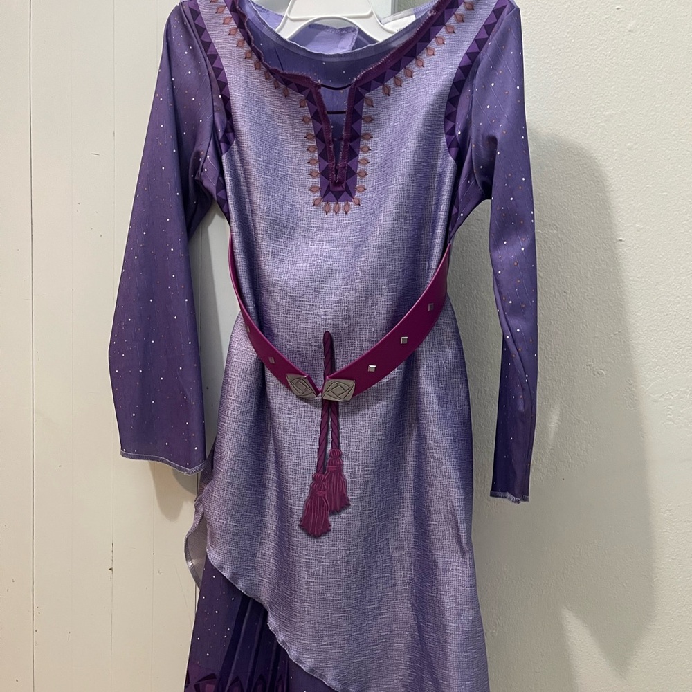Disney Wish Asha Costume